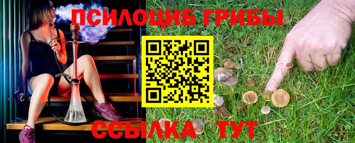 Гашиш  ГАШ  Меф   Аксай  APVP СК   Вход с VPN  Cocaine  Канабис 