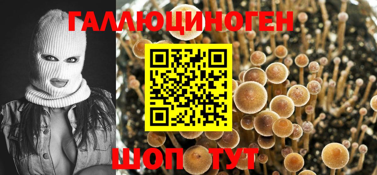 Псилоцибиновые грибы Cubensis Аксай