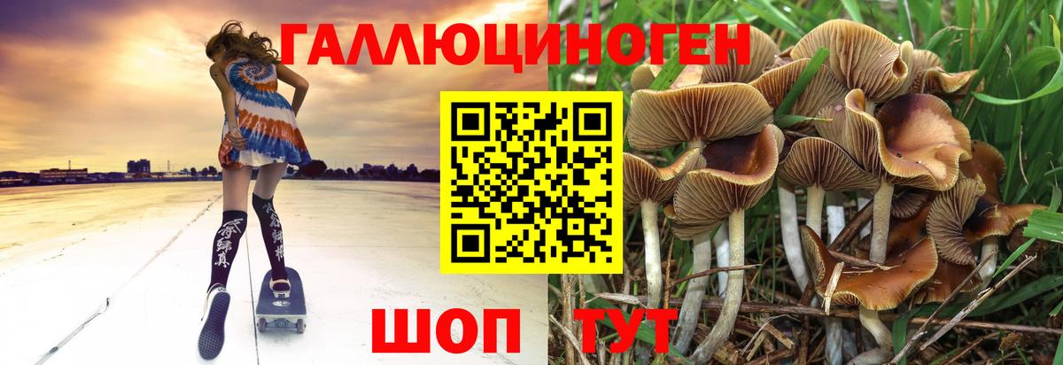 где найти   Вход с VPN  Аксай  Галлюциногенные грибы мицелий 